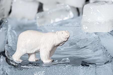 Eisscholle mit Bewohner